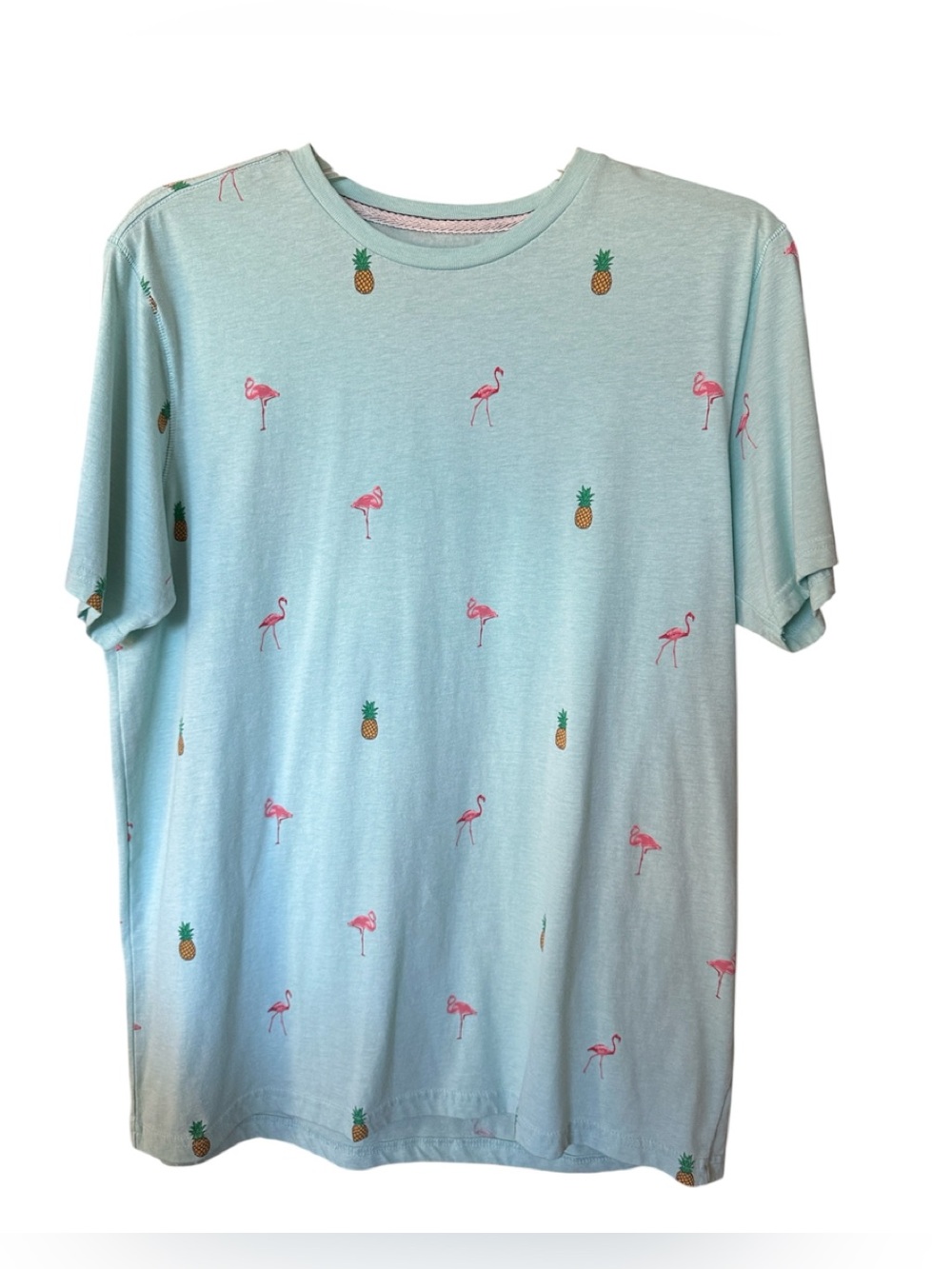 Free Planet Flamingo & Pineapple Printed Tee Aqua Mint Green Mens Large